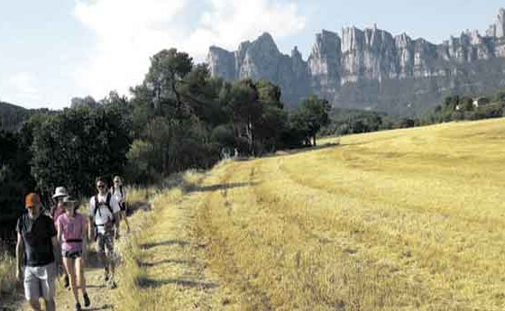 A l’encontre de sant Ignasi