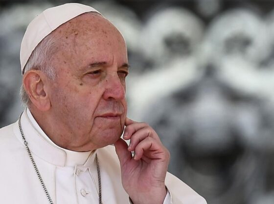 Canviar la cultura segons Francesc