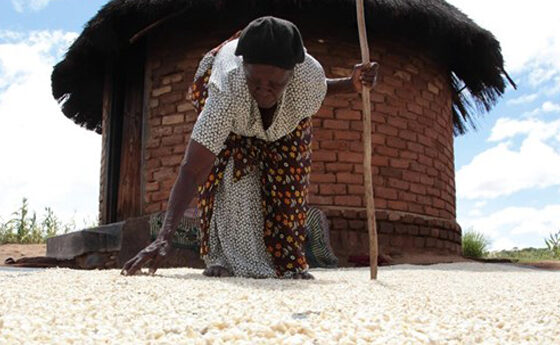 El Papa dona 25.000 euros a la FAO per la fam a l'Àfrica oriental