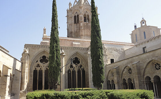 El monestir de Santa Maria de Vallbona
