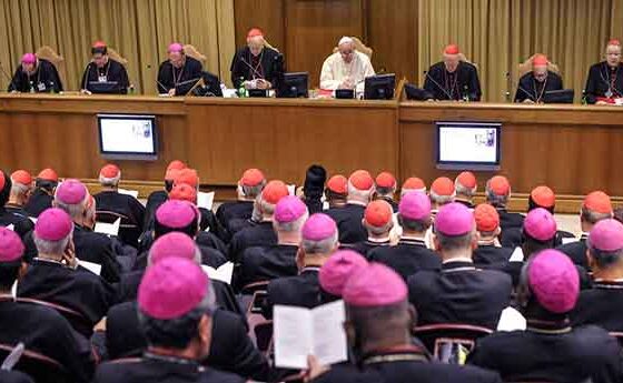 Francesc envia un nou missatge al Sínode: "L'esforç és un treball diari" com el del qui vol "superar una malaltia"