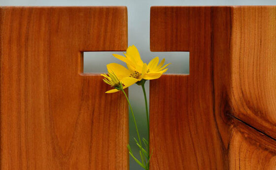 Introduir els valors de l’Evangeli