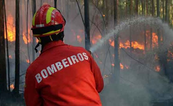 L'Església portuguesa demana solidaritat davant dels incendis