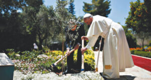 Pregar per la Creació