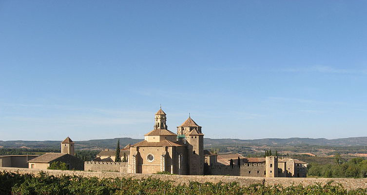 Un monjo de Poblet