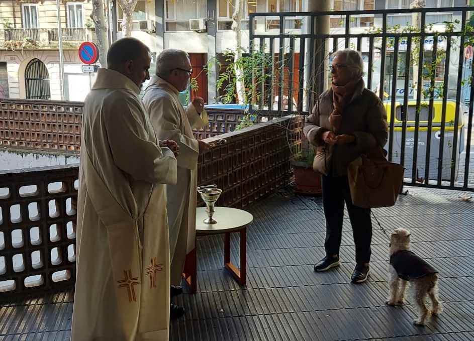 Benediccio animals