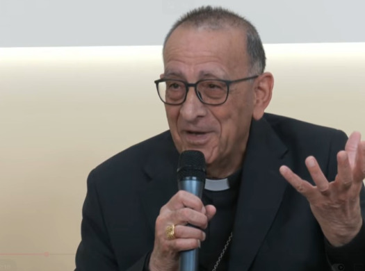 Cardenal Omella: “El Papa ve a enfortir en la fe els cristians i a portar un missatge per construir una societat unida”